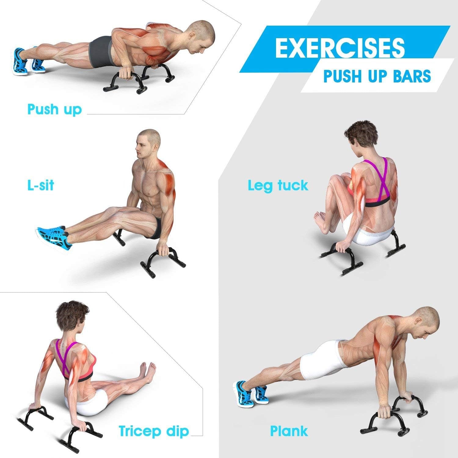 Push up Bar Strength Training - Home Gym Exercise Equipment Push-Up Stands With